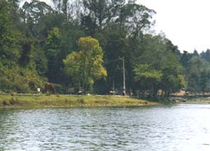 foto k: Kodaikanal - lago