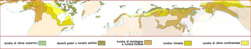 mappa tundra nel mondo