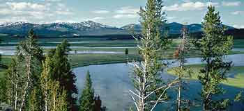 Yellowstone Park