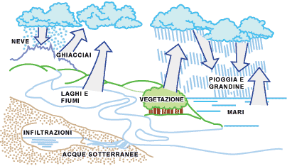 Grafico: ciclo dell'acqua