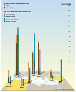 MA: benefici delle foreste