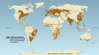 MA: mappa delle terre coltivate