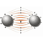 cariche elettriche attrazione