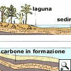 Formazione dei combustibili fossili