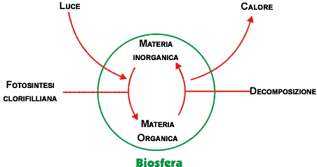 Schema biosfera