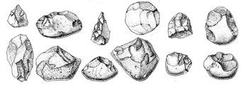 adattata da Chi Siamo, Mondadori – strumenti di Homo habilis