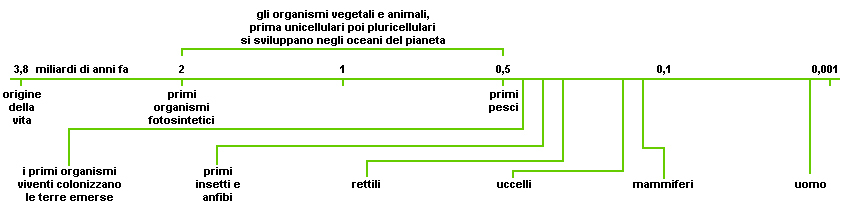 cronologia della vita