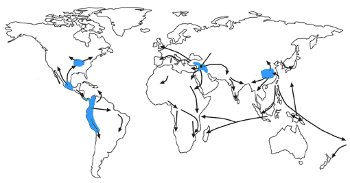 centri origine e diffusione agricoltura